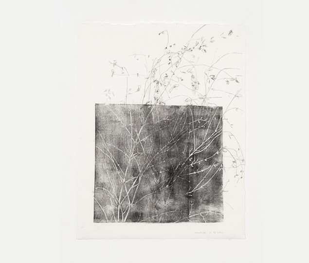 Phillippa Peckham, Quartets, xilografia e matita, cm 63,5x50