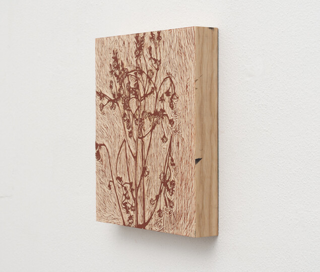 Phillippa Peckham, In the midst, legno e inchiostro, cm 30x26x4,5